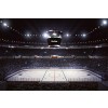 Stadium Lighting Hockey